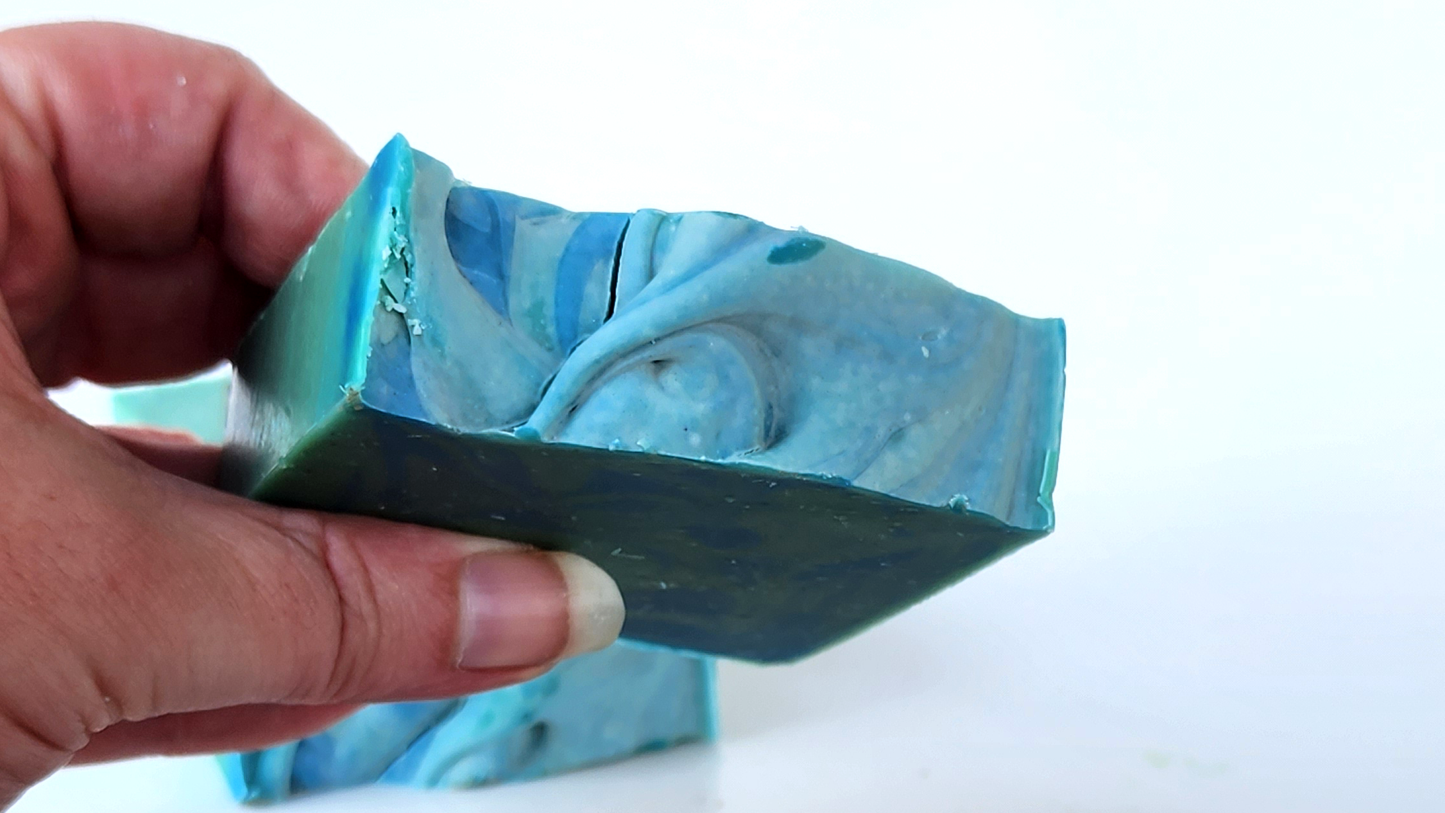 Cactus Sea Salt Soap Bar