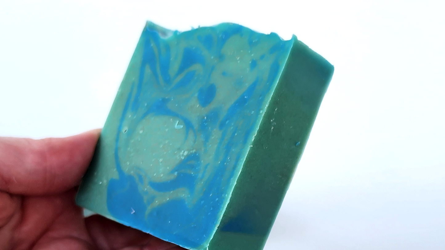 Cactus Sea Salt Soap Bar