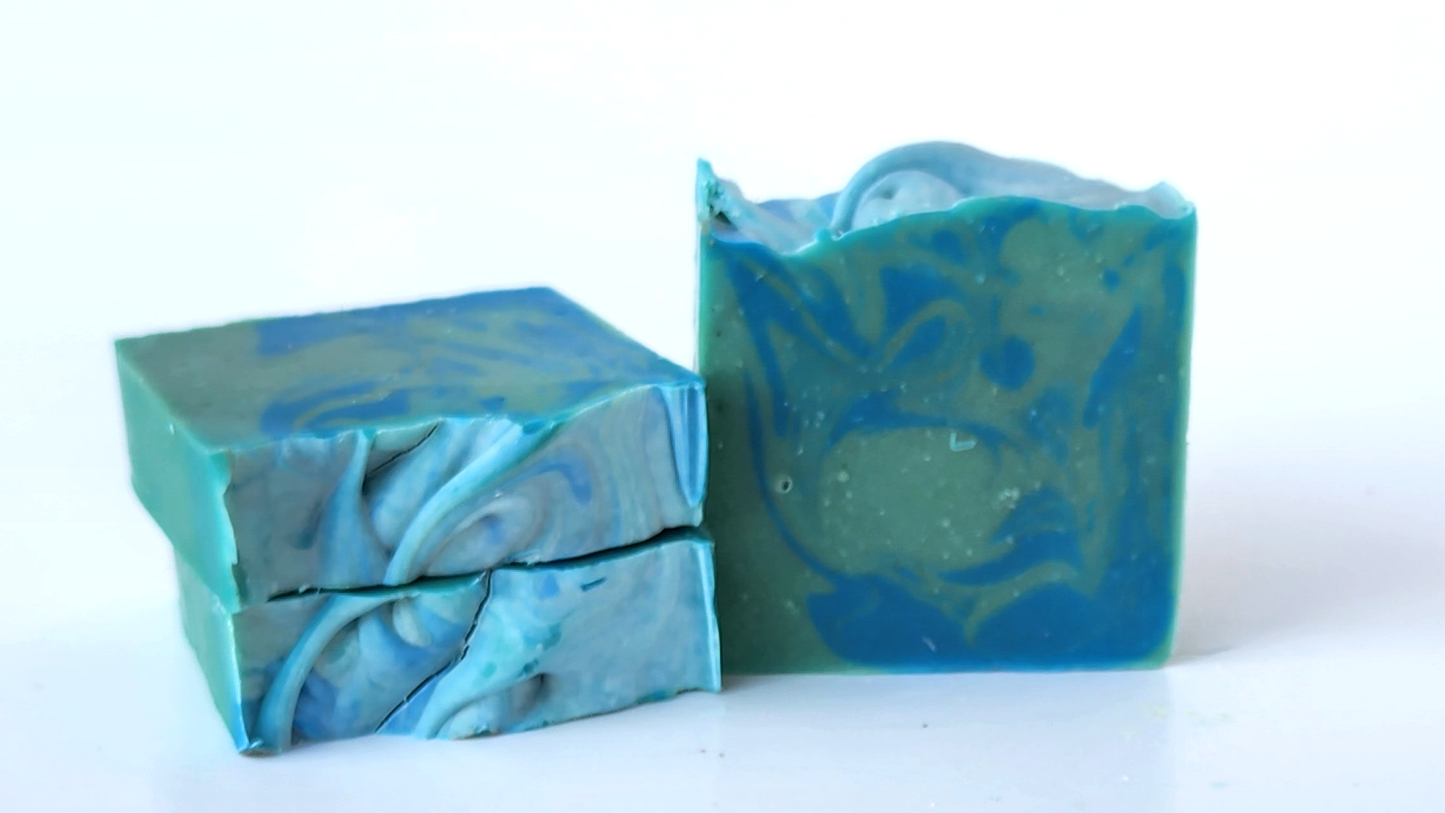 Cactus Sea Salt Soap Bar