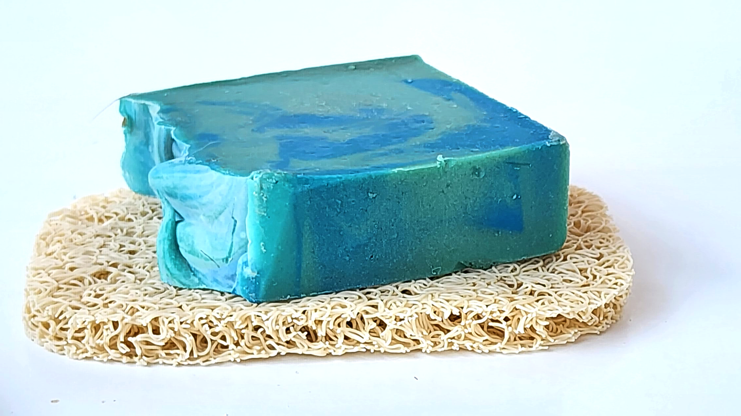 Soap Dish | Extend The Life Of Your Soaps